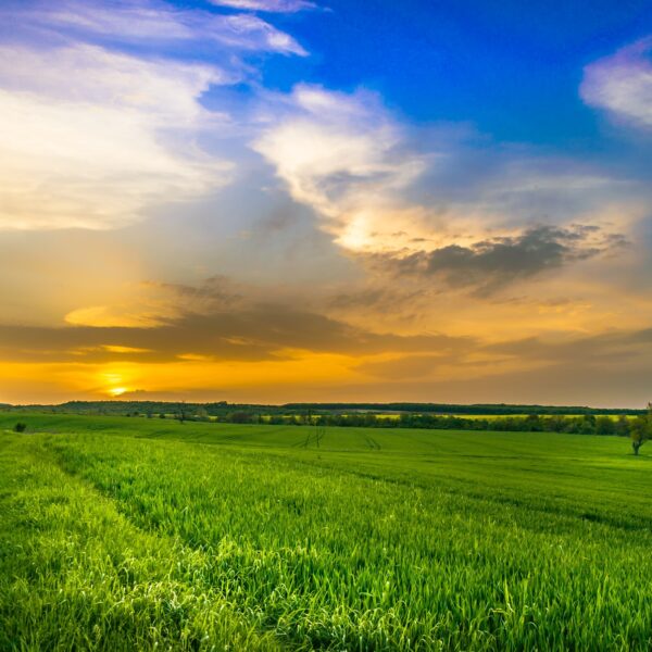 Βασικές Αρχές Γεωργίας Ακριβείας